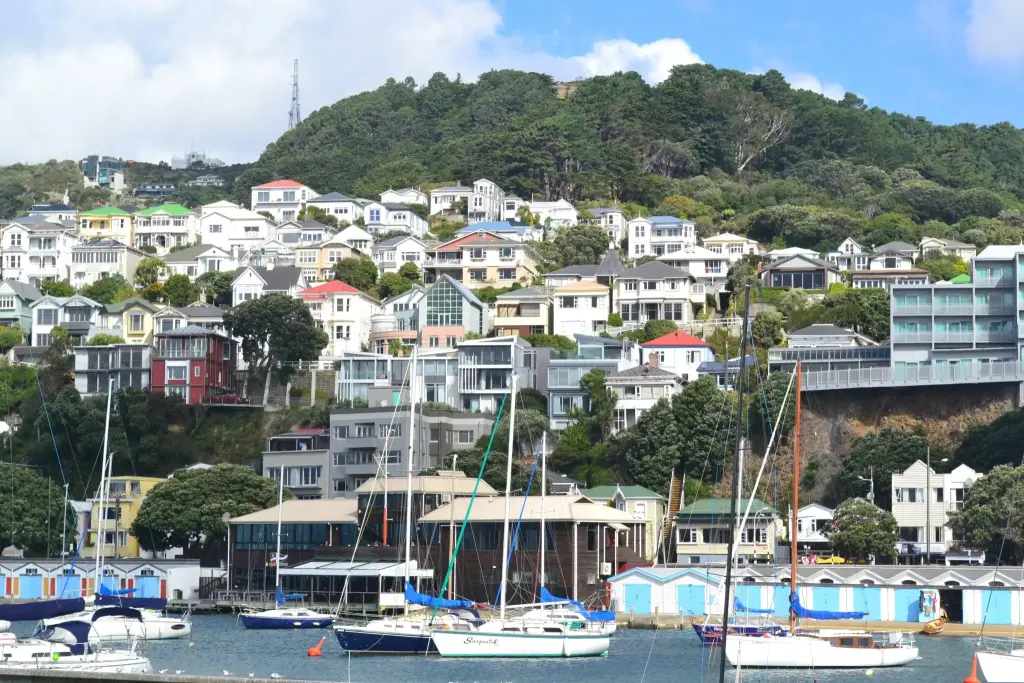 Wellington harbour marina with colorful hillside houses in New Zealand